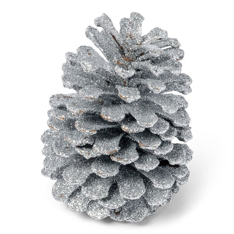 Pommes De Pin Naturelles Décoratives - Lot De 12 (8-12 Cm) - Pour Noël, Couronnes Et Artisanat