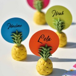 Marque place Ananas, s'adapte à toutes les couleurs souhaitées