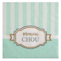 20 serviettes Naissance ou baptême garçon "Monsieur Chou", très originales.