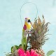 Perroquet Fuchsia pour décoration