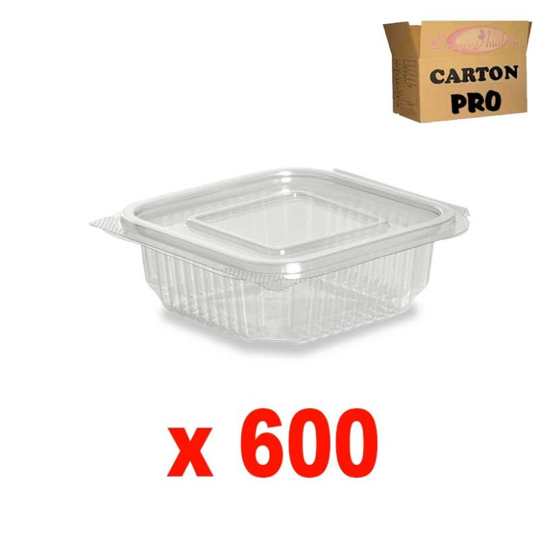 600 BOÎTES SALADE CHARNIÈRE 250GR 600 BOÎTES SALADE CHARNIÈRE 250GR