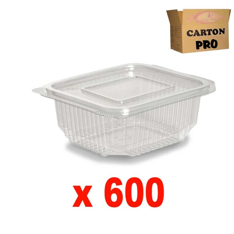 600 BOÎTES SALADE CHARNIÈRE 500GR 600 BOÎTES SALADE CHARNIÈRE 500GR