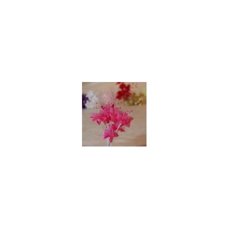 Fleur Perle Fuchsia