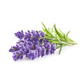 Parfum lavande pour Bougie 27ml