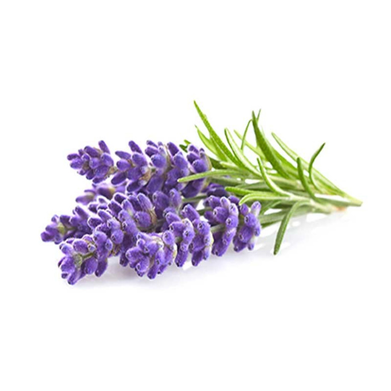 Flacon de parfum lavande pour bougie