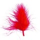Plume Rouge
