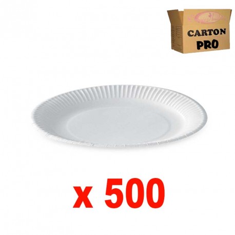 100 assiettes en carton blanc 23cm