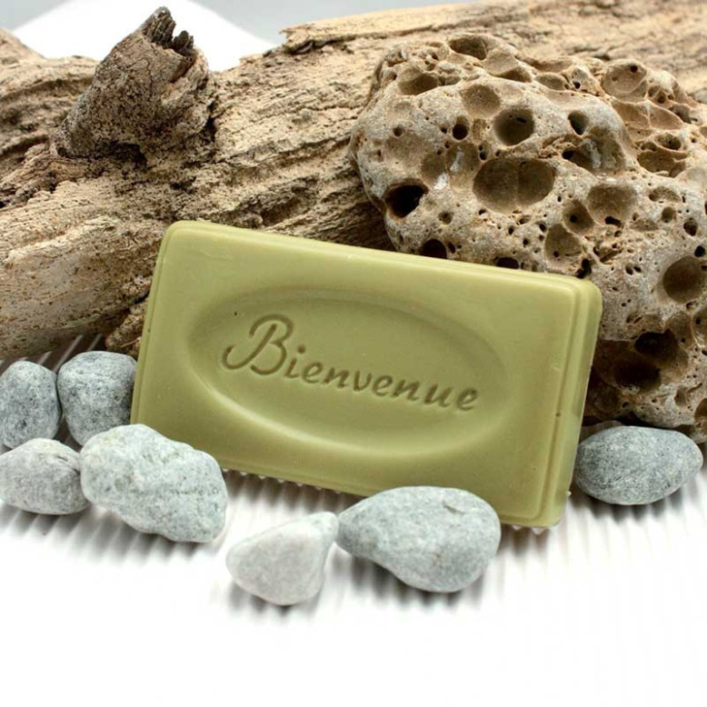 Mini moule thermo savon Bienvenue
