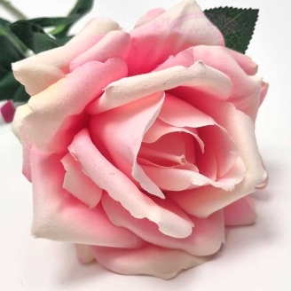 Rose couleur rose ouverte 80 cm