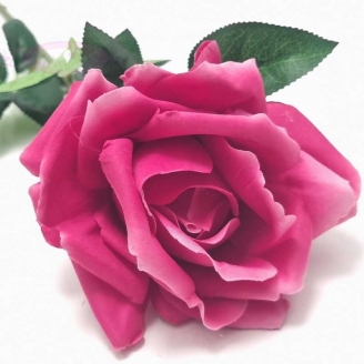 Rose fuchsia ouverte 80 cm
