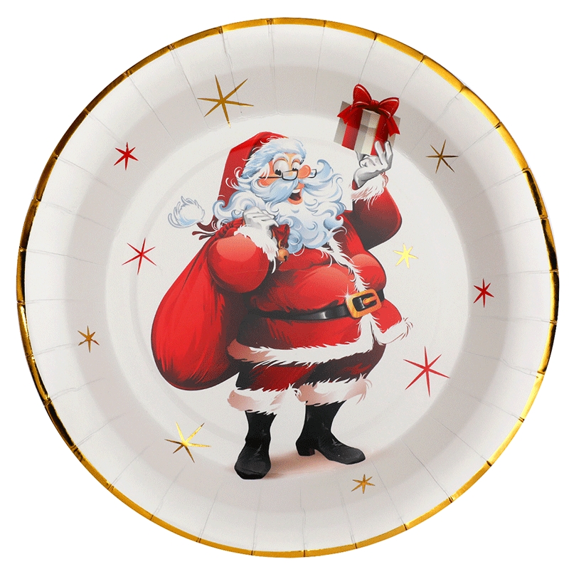 HTOOQ 50 assiettes en carton à dessert de Noël 17,8 cm au design élégant  poinsettia assiette de vacances jetable en rouge vert blanc et argent pour  vaisselle de Noël vaisselle fournitures de