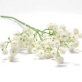 Gypsophile 81 fleurs (57 cm) Gypsophile 81 fleurs (57 cm)