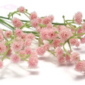 Gypsophile Rose en tige de 57 cm (81 fleurs)