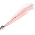 Herbe de la pampa 4 tiges (104cm) Herbe de la pampa 4 tiges (104cm)