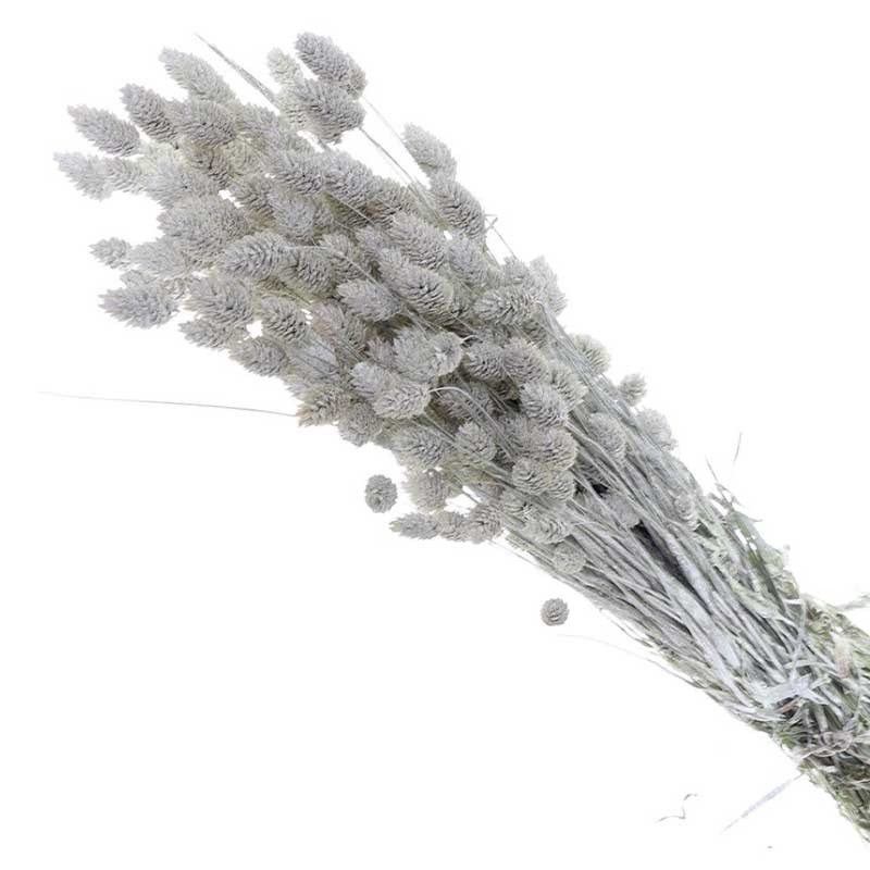 Fleurs Séchées Naturelles – Lot Pour Scrapbooking, Décoration Mariage, Arrangement Floral – Couleur Noir - 5