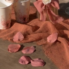 100 Pétales de rose Terracotta