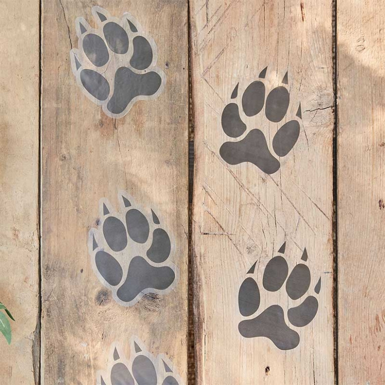 Empreintes de pattes d'animaux Empreintes de pattes d'animaux