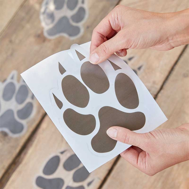 Empreintes de pattes d'animaux Empreintes de pattes d'animaux