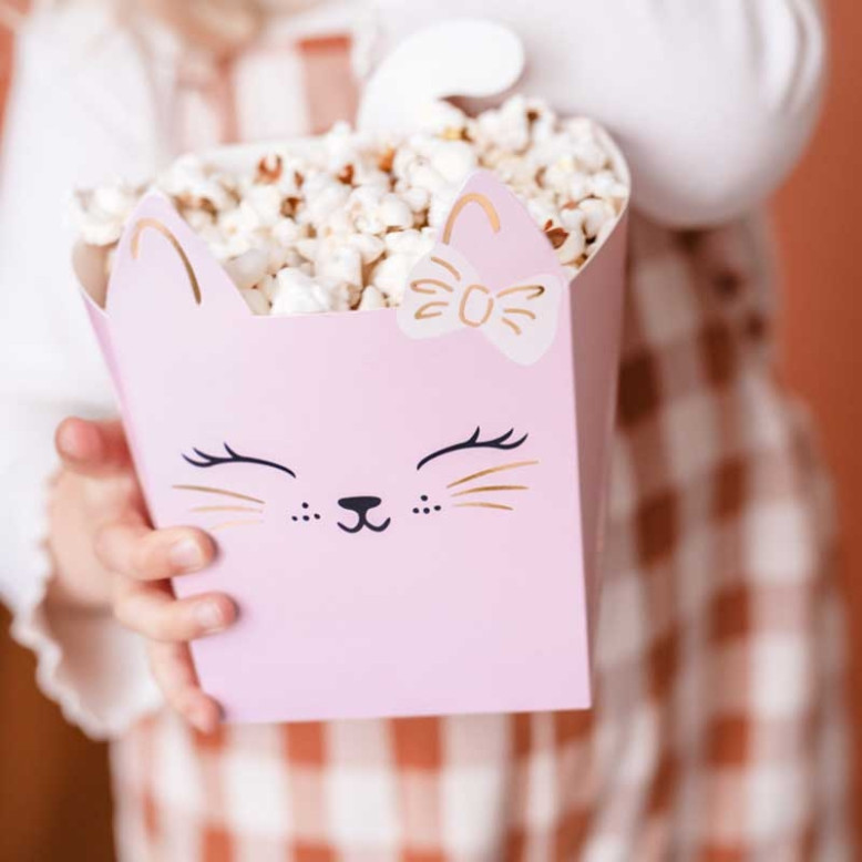 Boîtes à Collations Chats x 3 Boîtes à Collations Chats x 3