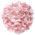 Boule d'Hortensia Rose