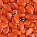 Dragées chocolat Terracotta 1 Kg Extra 71% Dragées chocolat Terracotta 1 Kg Extra 71%