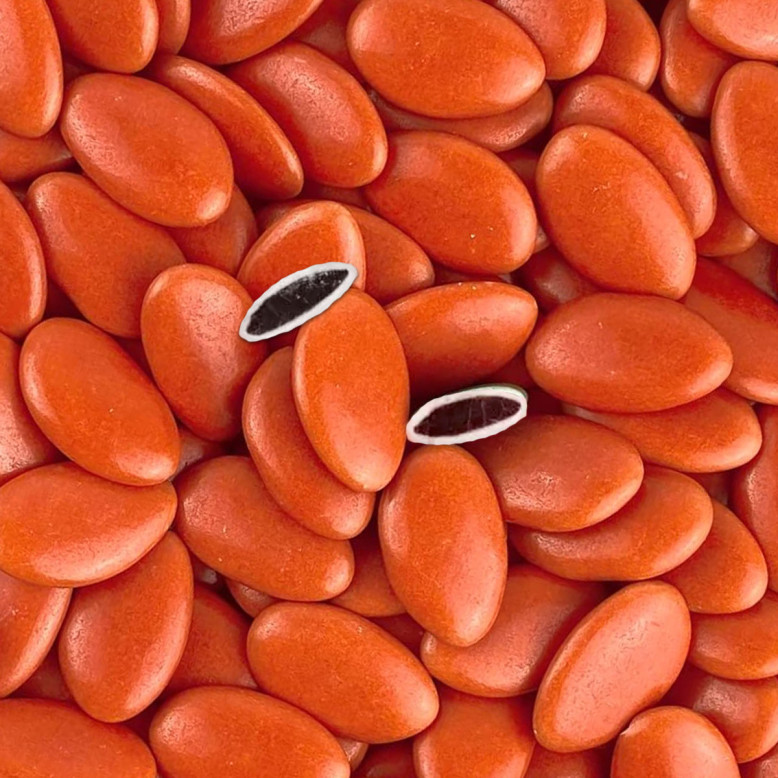 Dragées chocolat Terracotta 1 Kg Extra 71% Dragées chocolat Terracotta 1 Kg Extra 71%