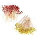 100 Piques à fruit en Bois