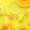 Nappe Jaune Jetable