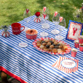 nappe de table dolce vita rayures bleues pour décoration de table festive nappe de table dolce vita rayures bleues pour décoration de table festive