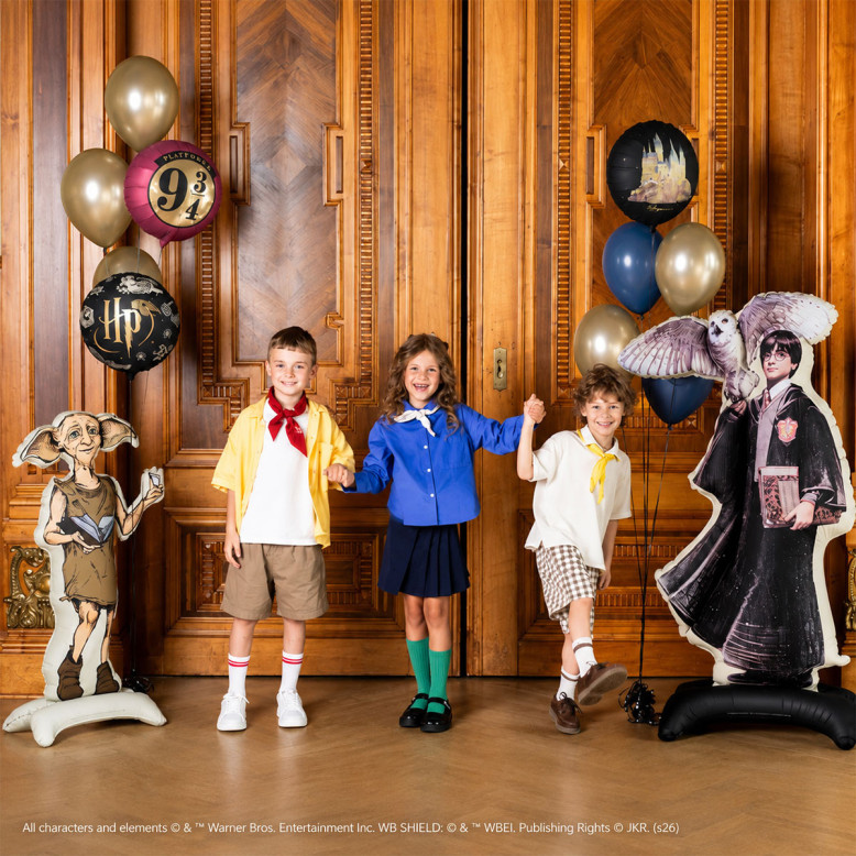 Ballon sur pied Harry Potter avec Hedwige - Dragées Anahita Ballon sur pied Harry Potter avec Hedwige - Dragées Anahita