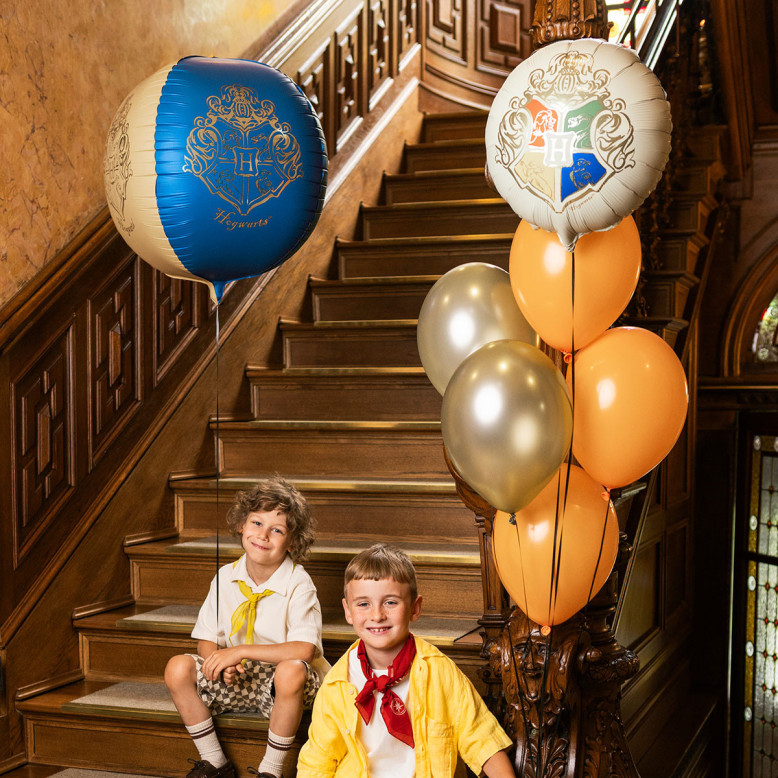 Ballon sphère Harry Potter Blason de Poudlard 50 cm Ballon sphère Harry Potter Blason de Poudlard 50 cm