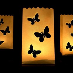 Lanterne photophore Papillon X 10