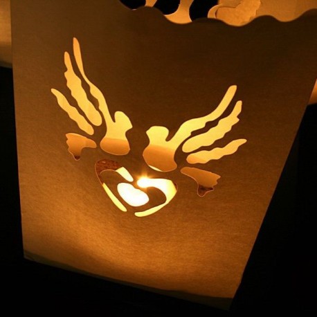 Lanterne photophore colombe X 10