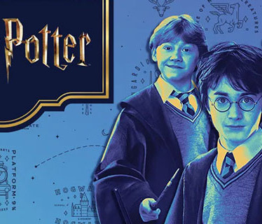 Anniversaire Harry Potter